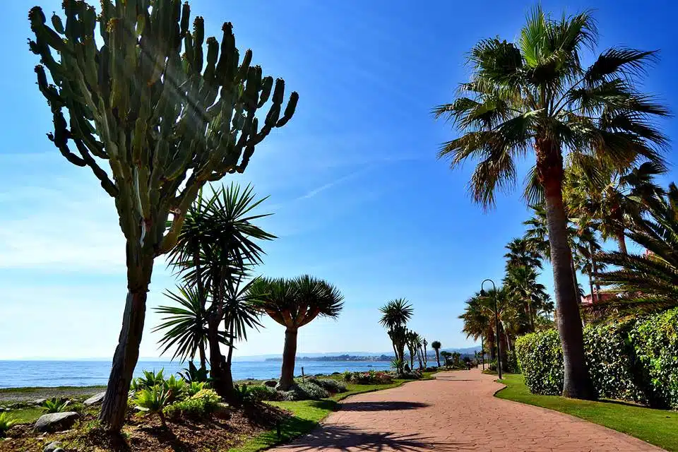 Bahia-de-La-Plata-_Boulevard_Realista-Quality-Properties-Marbella.jpg